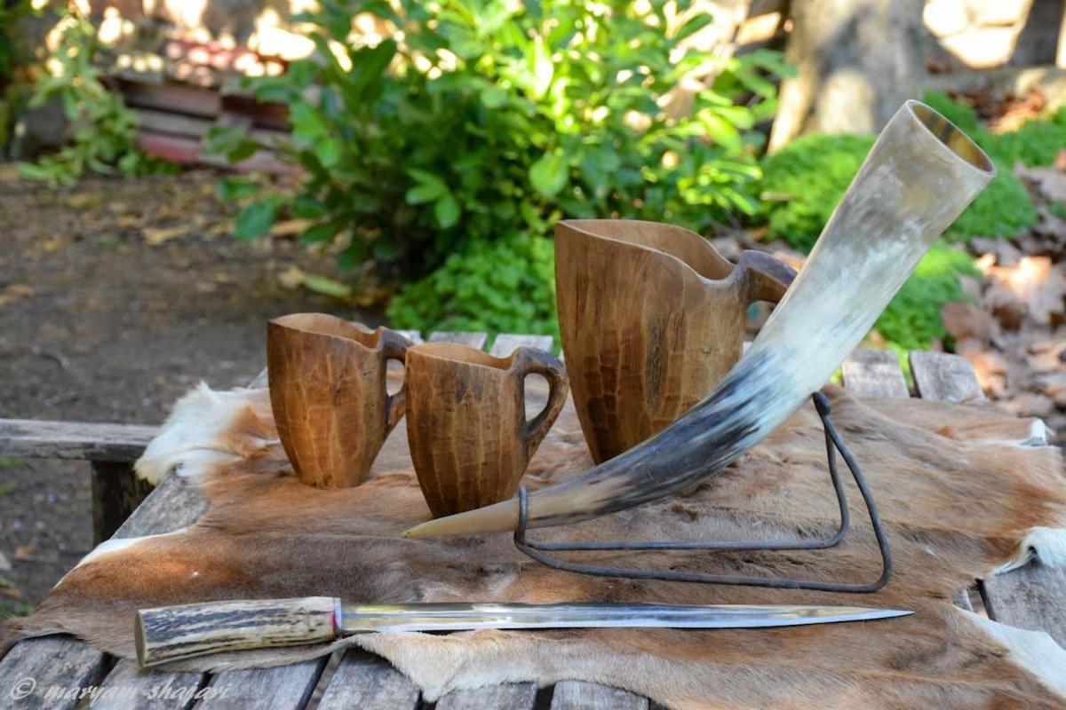 El Descanso De Odin ¡Una Autentica Posada Vikinga! 马塔埃尔皮诺 外观 照片